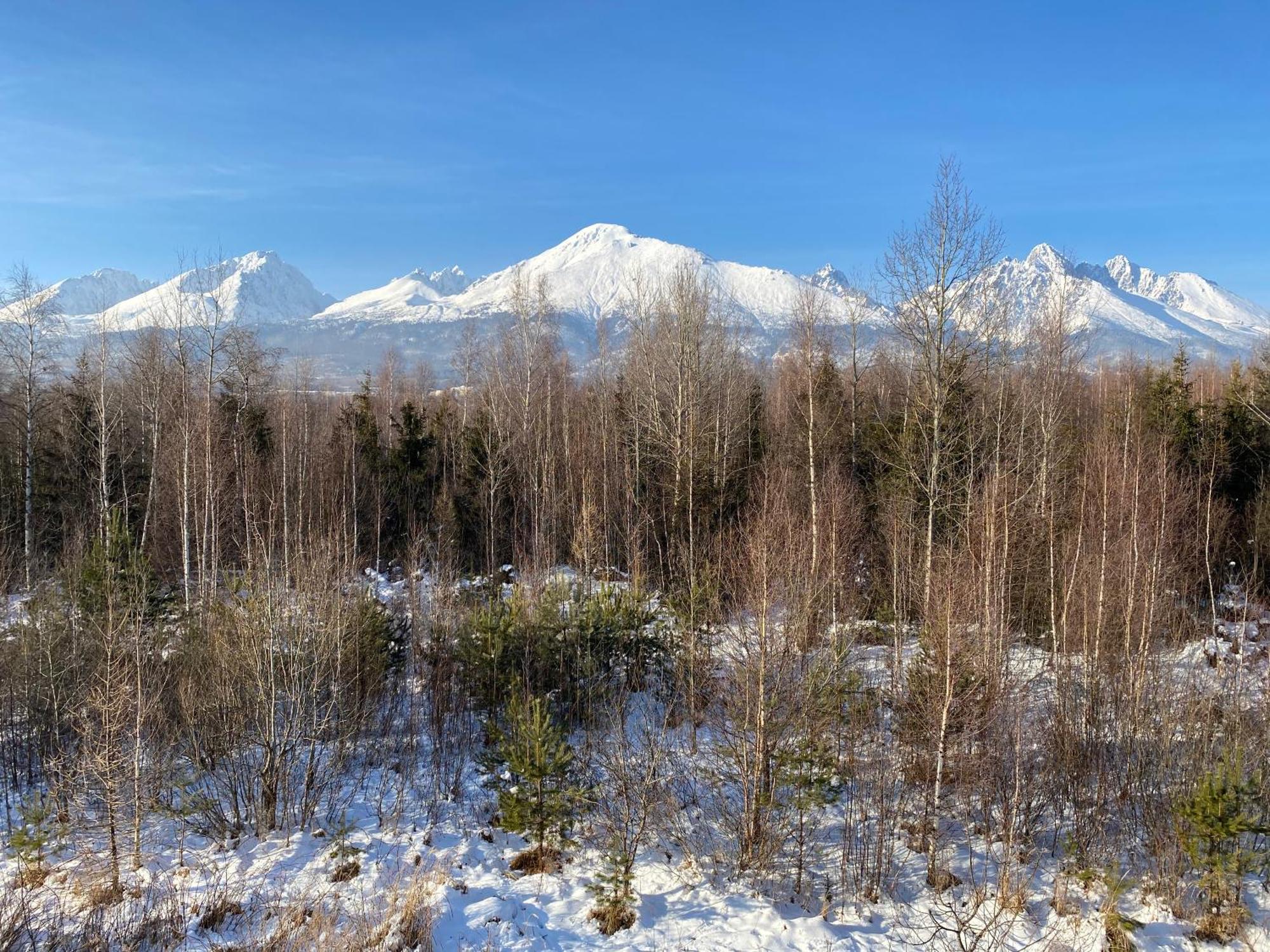 S Nadhernym Vyhladom Na Tatry